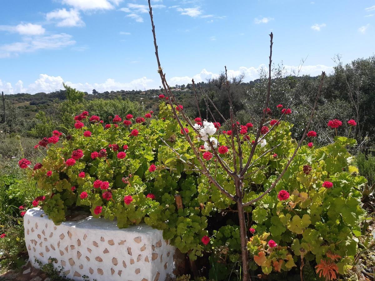 Quinta Da Jolanda-Happy Family Farm Apartment Lagos Exterior photo